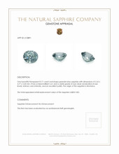 0.71 Ct. Greenish Blue Sapphire from Montana Appraisal