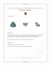 Jewelry Appraisal