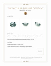 0.73 Ct. Greyish Blue Sapphire from Montana Appraisal