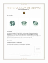 Jewelry Appraisal