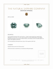 0.85 Ct. Sapphire from Montana Appraisal