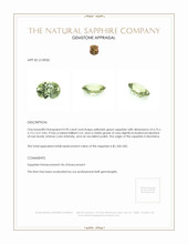0.90 Ct. Yellowish Green Sapphire from Montana Appraisal
