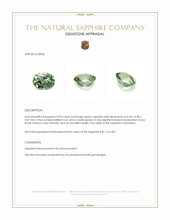 0.93 Ct. Green Sapphire from Montana Appraisal