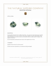 1.07 Ct. Bluish Green Sapphire from Montana Appraisal