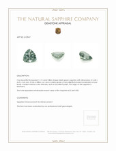 Jewelry Appraisal