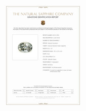 1.31 Ct. Yellowish Green Sapphire from Montana Scan Report