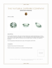 Jewelry Appraisal