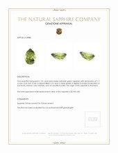 Jewelry Appraisal