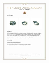 Jewelry Appraisal
