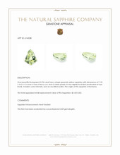 Jewelry Appraisal