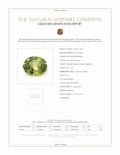 Jewelry Scan Report