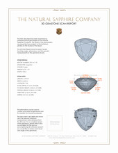 Jewelry 3 D Scan Report