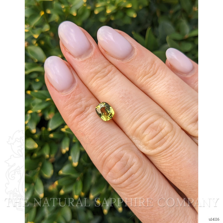 1.94 Ct. Yellowish Green Sapphire from Ceylon (Sri Lanka)