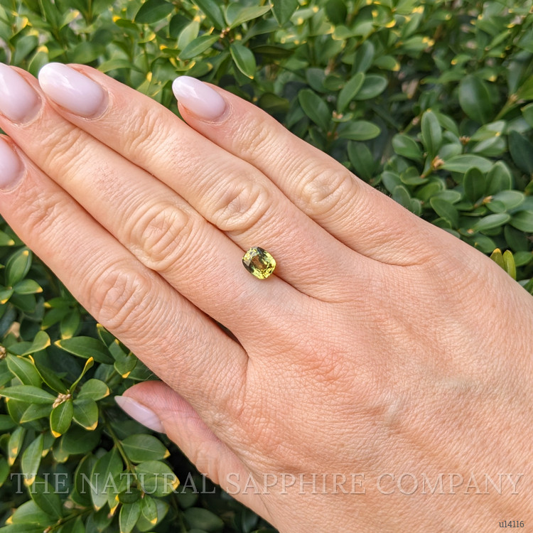 1.94 Ct. Yellowish Green Sapphire from Ceylon (Sri Lanka)