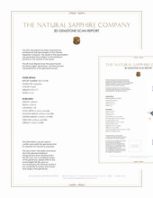 Jewelry 3 D Scan Report