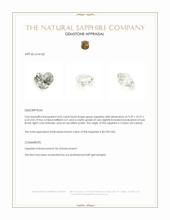 Jewelry Appraisal