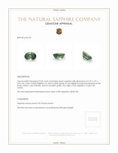 Jewelry Appraisal