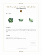 0.52 Ct. Yellowish Green Sapphire from Ceylon (Sri Lanka) Appraisal