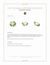 Jewelry Appraisal