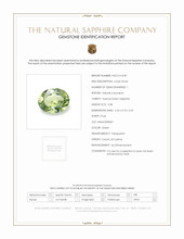 Jewelry Scan Report