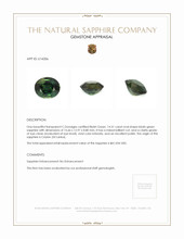 14.31 Ct. Bluish Green Sapphire from Ceylon (Sri Lanka) Appraisal