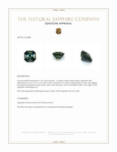Jewelry Appraisal