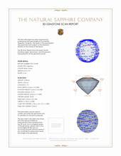 Jewelry 3 D Scan Report