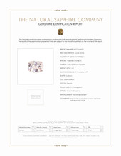 Jewelry Scan Report