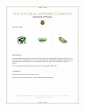 0.95 Ct. Green Sapphire from Ceylon (Sri Lanka) Appraisal