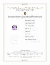 Jewelry Scan Report