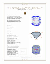 Jewelry 3 D Scan Report