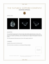 Jewelry Appraisal