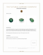 Jewelry Appraisal
