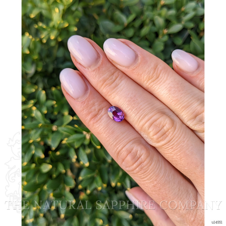 1.82 Ct. Purple Sapphire from Ceylon (Sri Lanka)