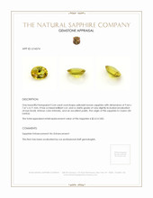 2.64 Ct. Greenish Yellow Sapphire from Ceylon (Sri Lanka) Appraisal