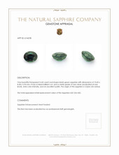4.60 Ct. Bluish Green Sapphire from Ceylon (Sri Lanka) Appraisal