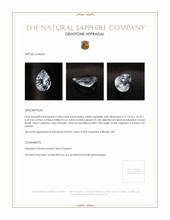 Jewelry Appraisal