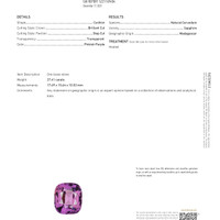 Jewelry Scan Report