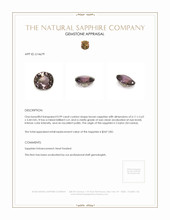 0.99 Ct. Sapphire from Ceylon (Sri Lanka) Appraisal