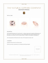 Jewelry Appraisal