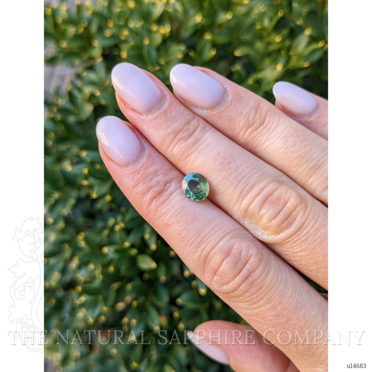 1.32 Ct. Yellowish Green Sapphire from Nigeria