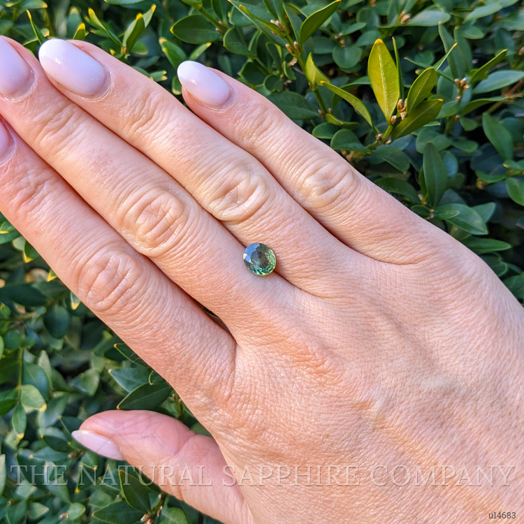 1.32 Ct. Yellowish Green Sapphire from Nigeria