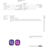 33.98 Ct. Color Change Sapphire from Ceylon (Sri Lanka) Scan Report