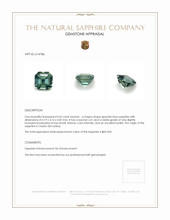 Jewelry Appraisal