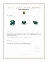 Jewelry Appraisal