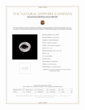 Jewelry Scan Report