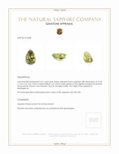 Jewelry Appraisal