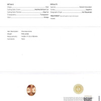 9.04 Ct. Orange Sapphire from Ceylon (Sri Lanka) Scan Report