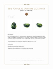 Jewelry Appraisal