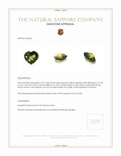 Jewelry Appraisal
